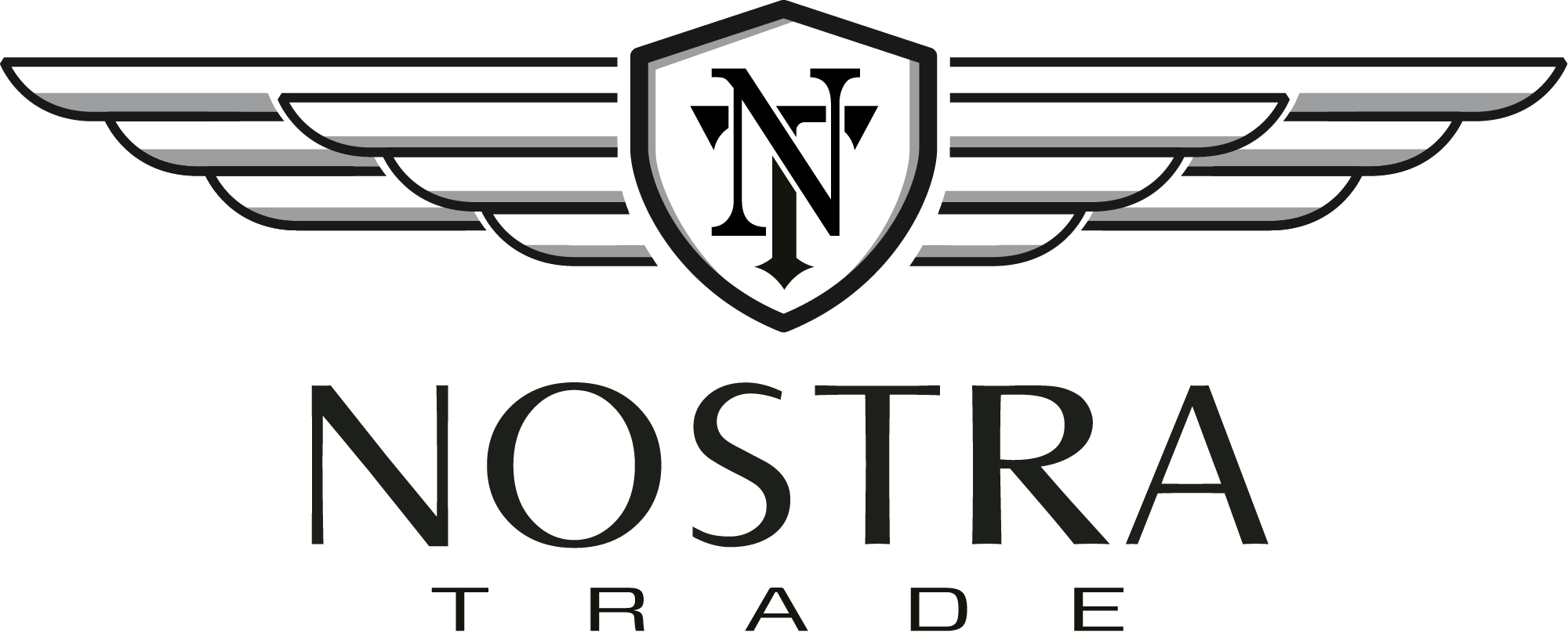 Nostra Trade logo