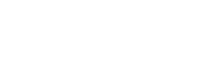 logo hurtowni FMCG Magnat
